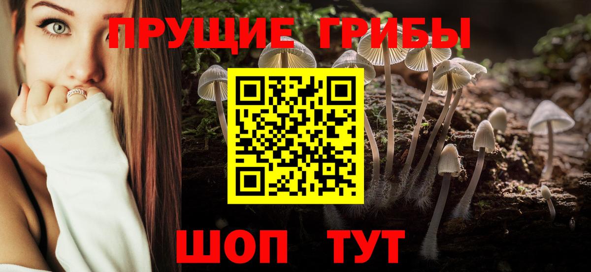 Псилоцибиновые грибы Cubensis Комсомольск-на-Амуре