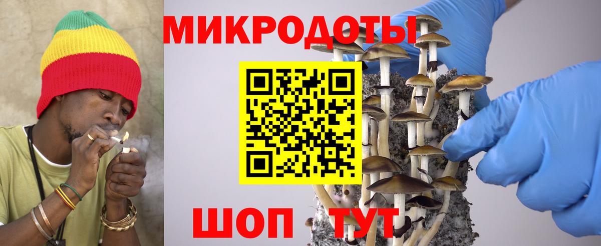 Комсомольск-на-Амуре  как найти   Вход с VPN  Псилоцибиновые грибы MAGIC MUSHROOMS 